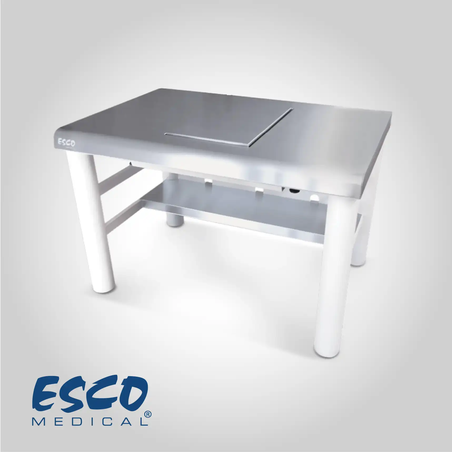 Esco AVT Anti Vibration Table